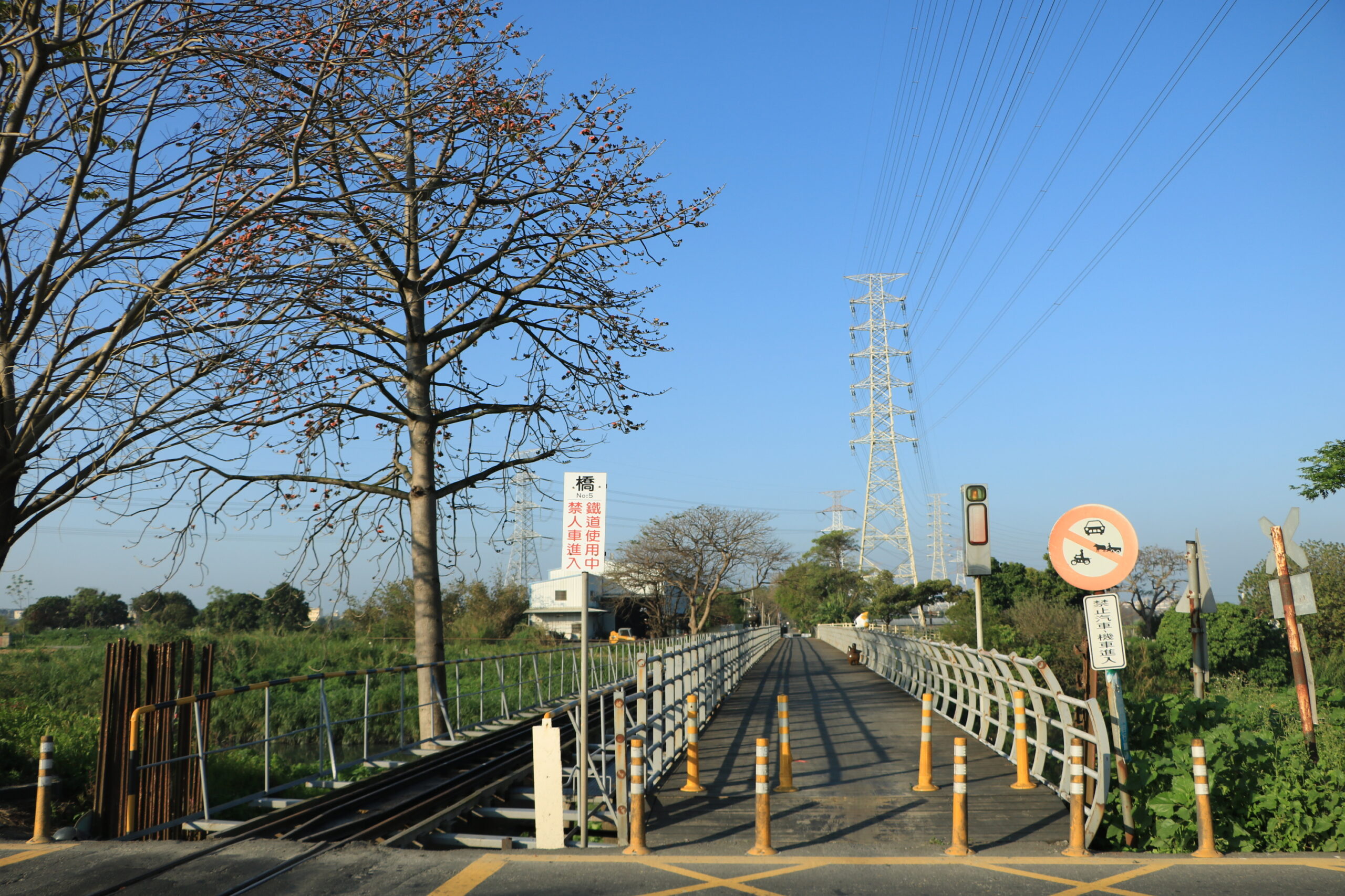 彰化埤頭新景點,彰化木棉花,東羅溪鐵橋站