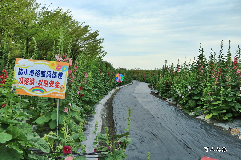 大埔里運動公園