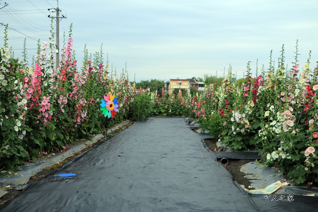 大埔里運動公園