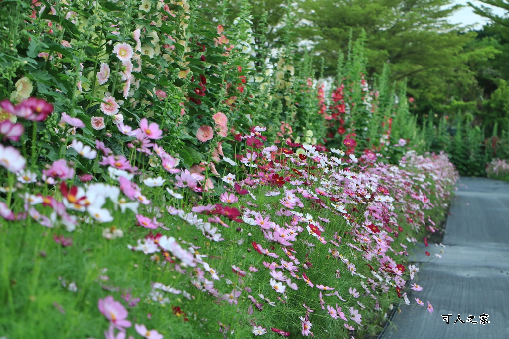 大埔里運動公園