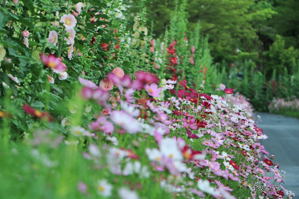 大埔里運動公園