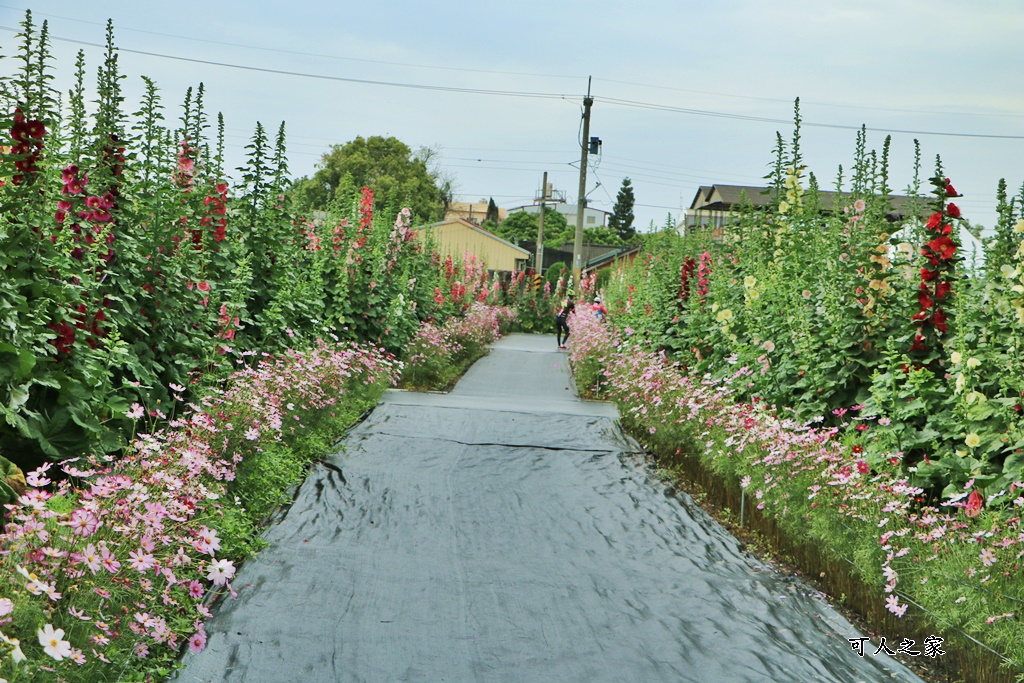 大埔里運動公園