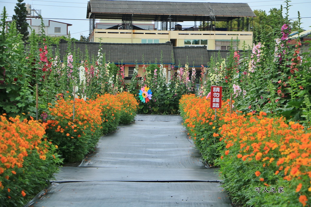 大埔里運動公園