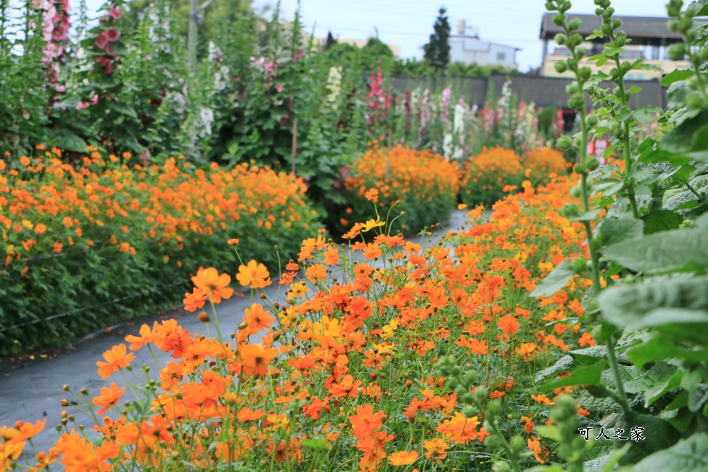 大埔里運動公園