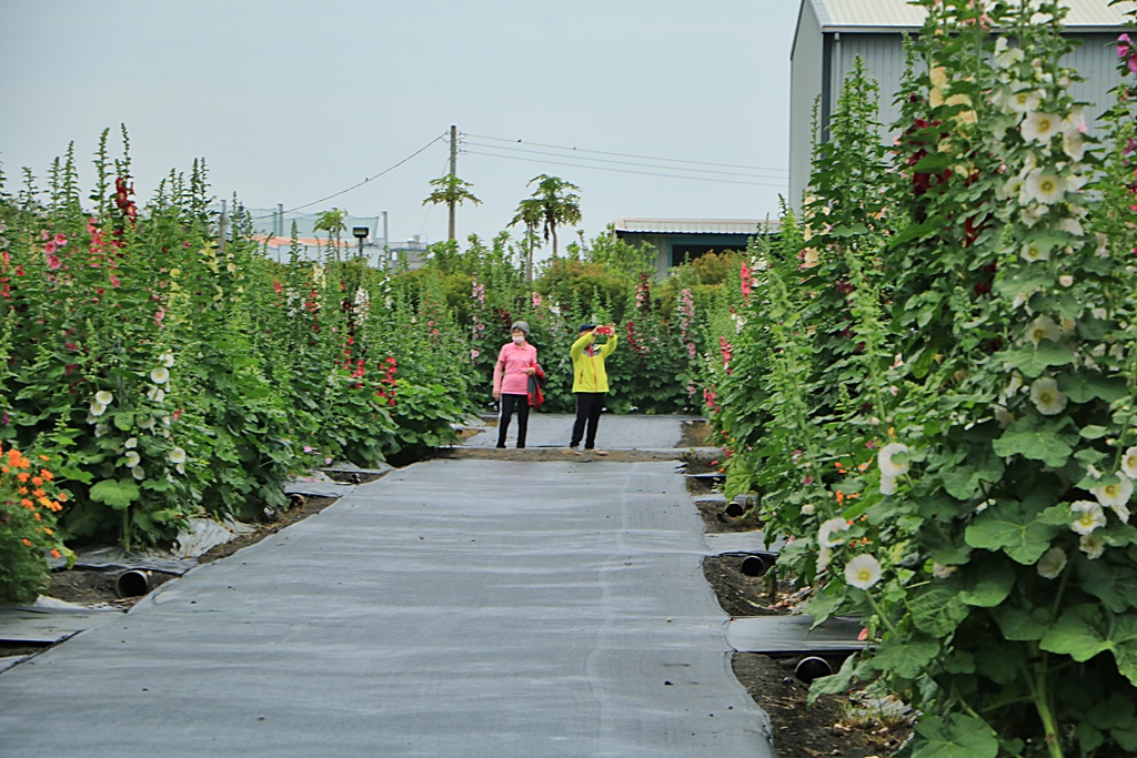 大埔里運動公園