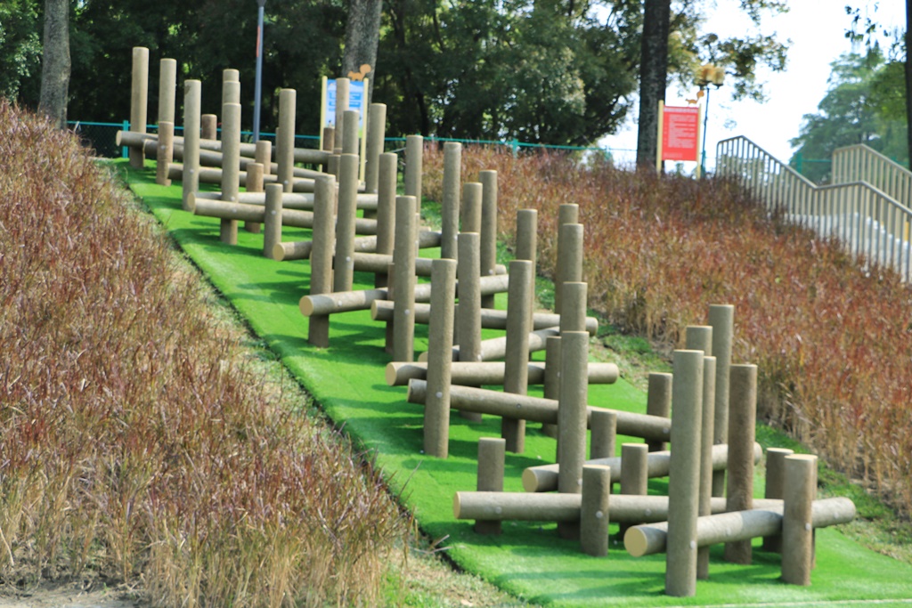 斗六新景點,膨鼠森林公園,金瓜鼠樂園,雲林景點