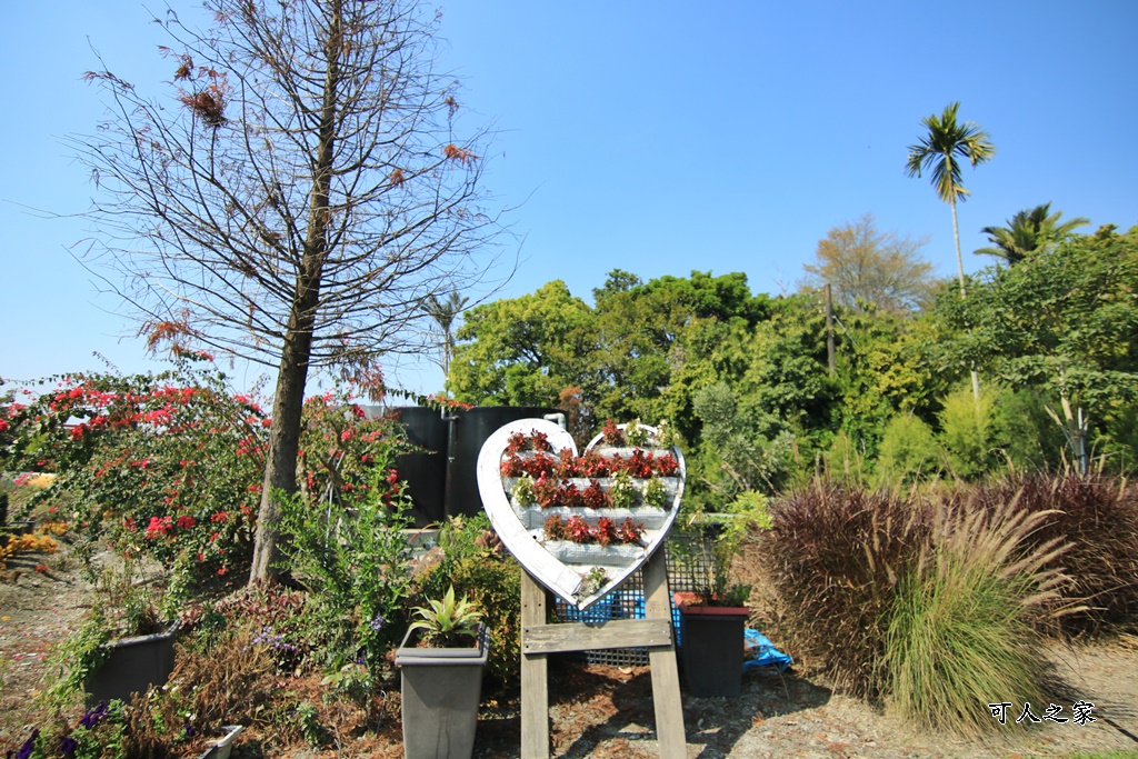 2022菁芳園,小熊屋,彰化景點,彰化田尾景點,田尾玻璃屋,菁芳園門票