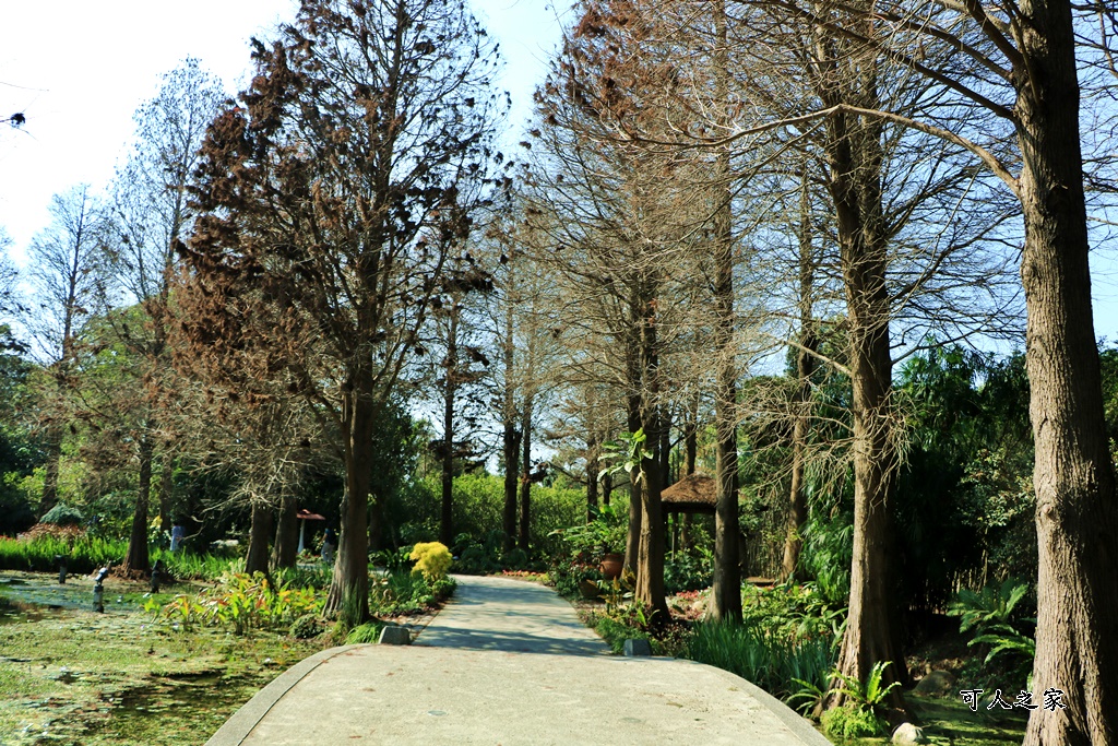 2022菁芳園,小熊屋,彰化景點,彰化田尾景點,田尾玻璃屋,菁芳園門票