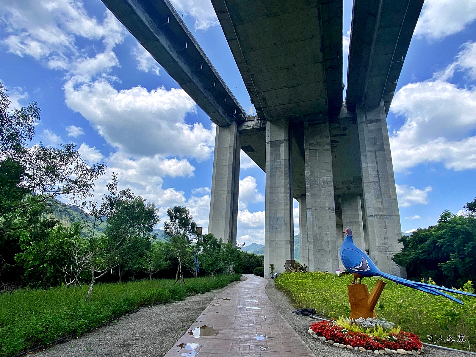 免費,南投新景點,新景點,橋聳雲天綠雕園區,橋聳雲天綠雕園區(國道六號國姓交流道),約會