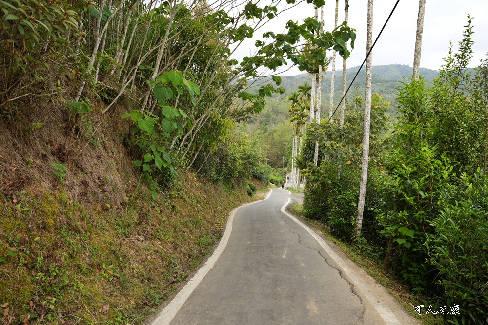 南投瀑布,南投魚池新景點,水上瀑布,澀水森林步道,魚池登山步道