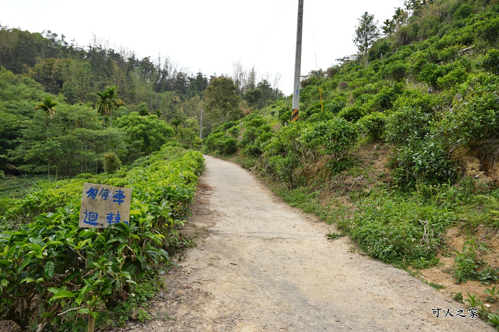 南投瀑布,南投魚池新景點,水上瀑布,澀水森林步道,魚池登山步道