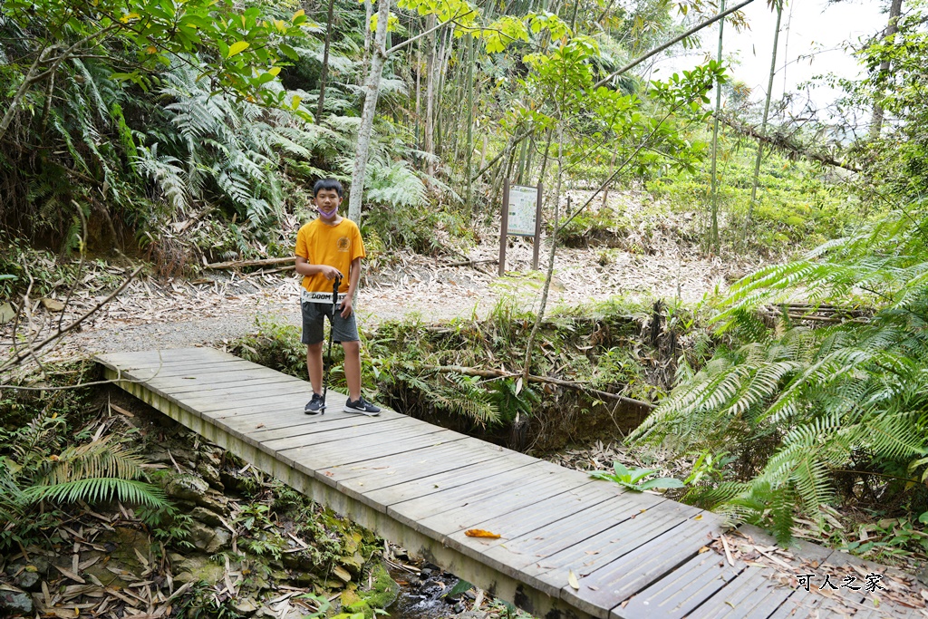 南投瀑布,南投魚池新景點,水上瀑布,澀水森林步道,魚池登山步道