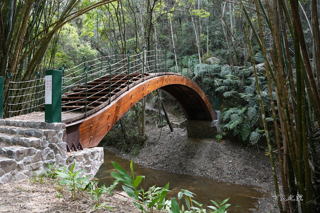 南投瀑布,南投魚池新景點,水上瀑布,澀水森林步道,魚池登山步道