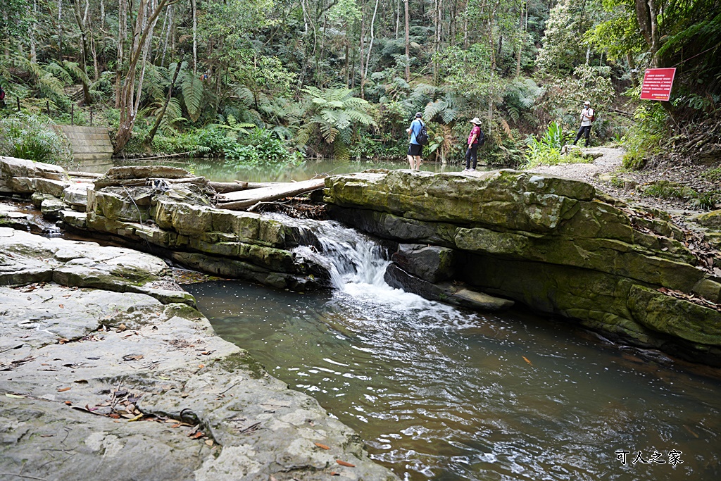 南投瀑布,南投魚池新景點,水上瀑布,澀水森林步道,魚池登山步道