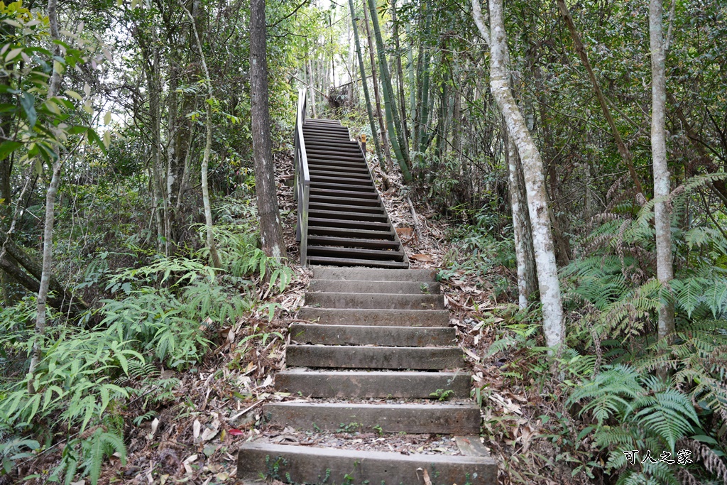 南投瀑布,南投魚池新景點,水上瀑布,澀水森林步道,魚池登山步道