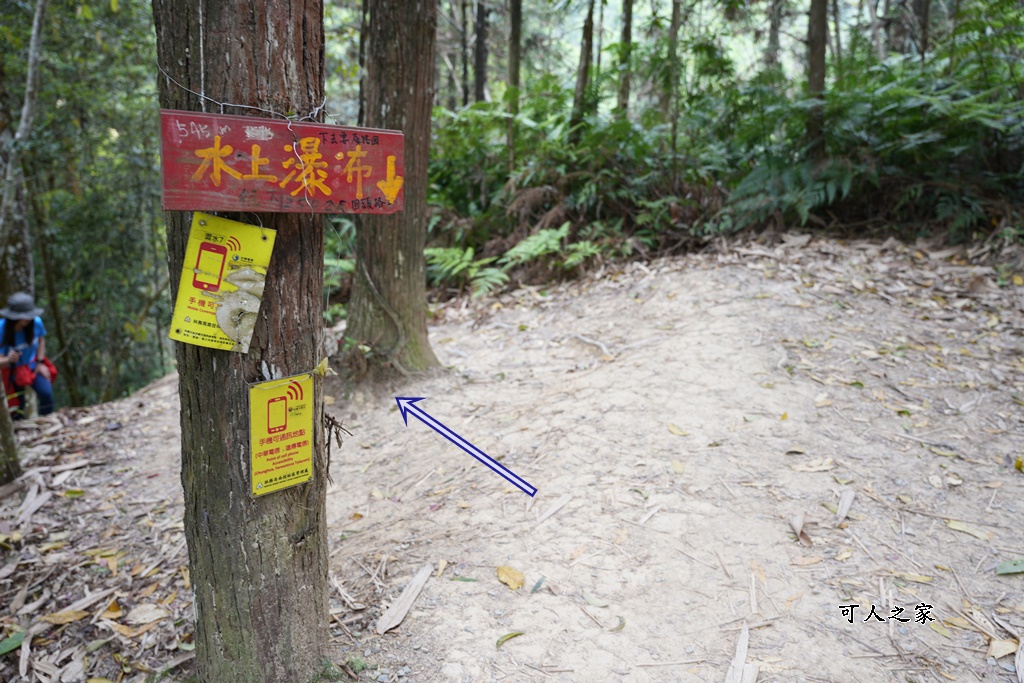 南投瀑布,南投魚池新景點,水上瀑布,澀水森林步道,魚池登山步道