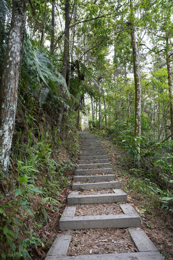 南投瀑布,南投魚池新景點,水上瀑布,澀水森林步道,魚池登山步道