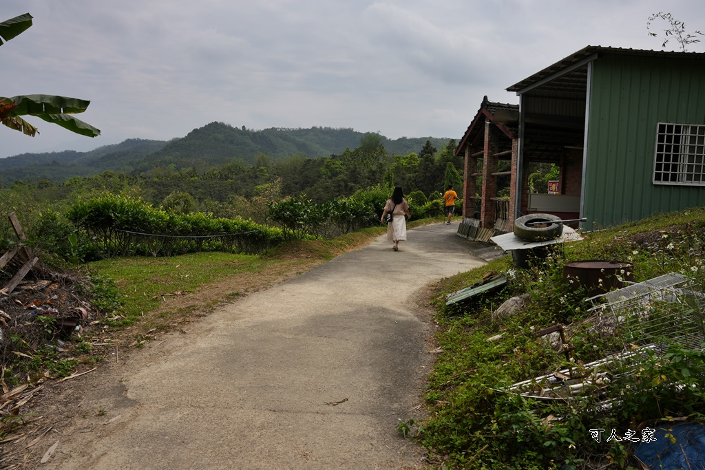 南投瀑布,南投魚池新景點,水上瀑布,澀水森林步道,魚池登山步道