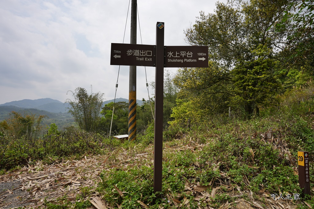 南投瀑布,南投魚池新景點,水上瀑布,澀水森林步道,魚池登山步道