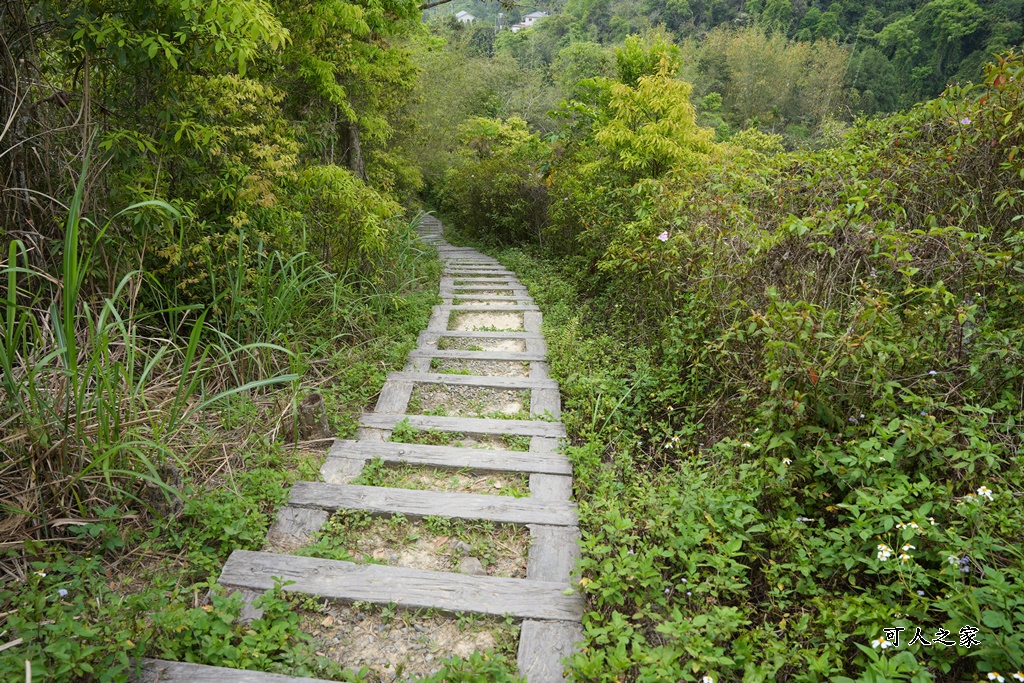 南投瀑布,南投魚池新景點,水上瀑布,澀水森林步道,魚池登山步道