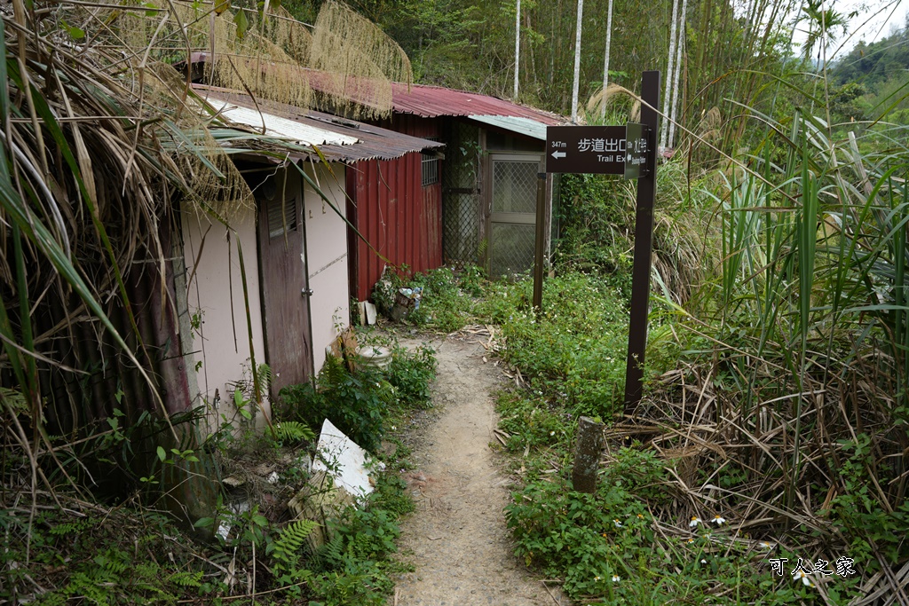 南投瀑布,南投魚池新景點,水上瀑布,澀水森林步道,魚池登山步道