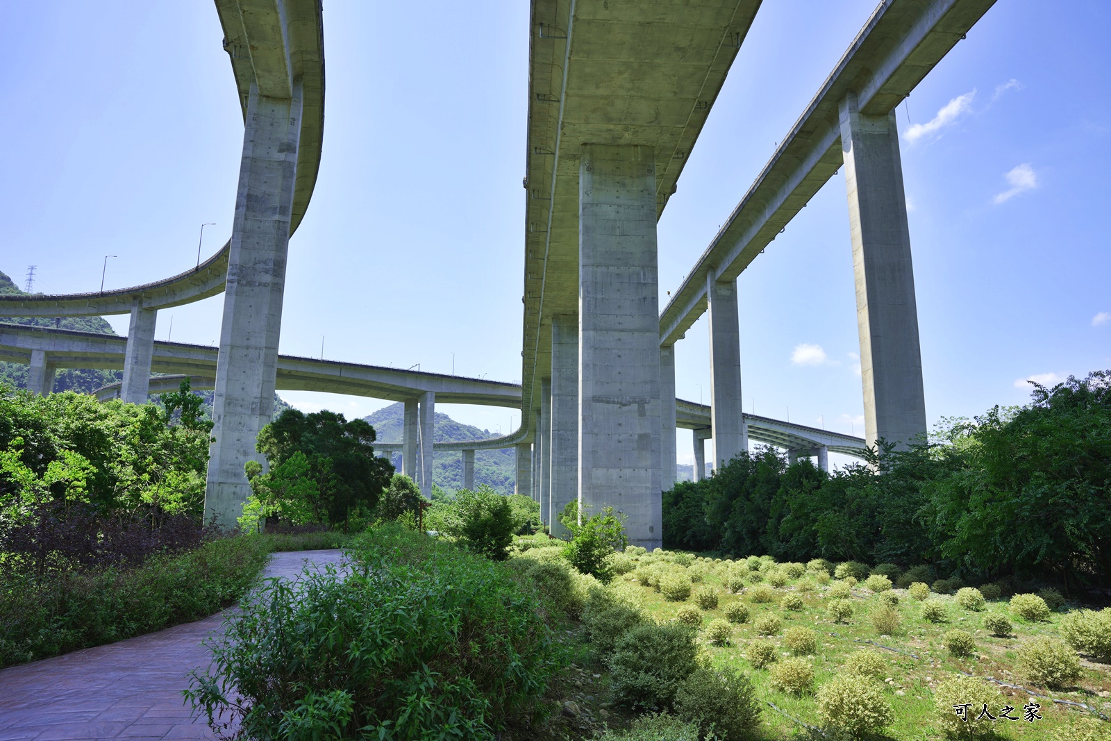 免費,南投新景點,新景點,橋聳雲天綠雕園區,橋聳雲天綠雕園區(國道六號國姓交流道),約會