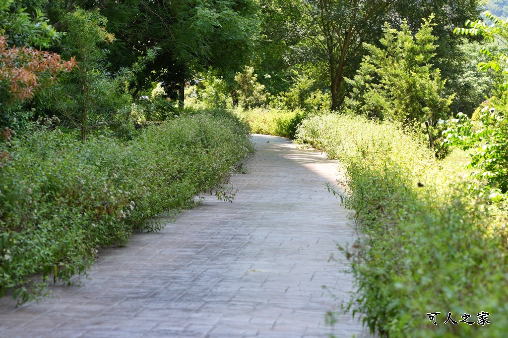 免費,南投新景點,新景點,橋聳雲天綠雕園區,橋聳雲天綠雕園區(國道六號國姓交流道),約會