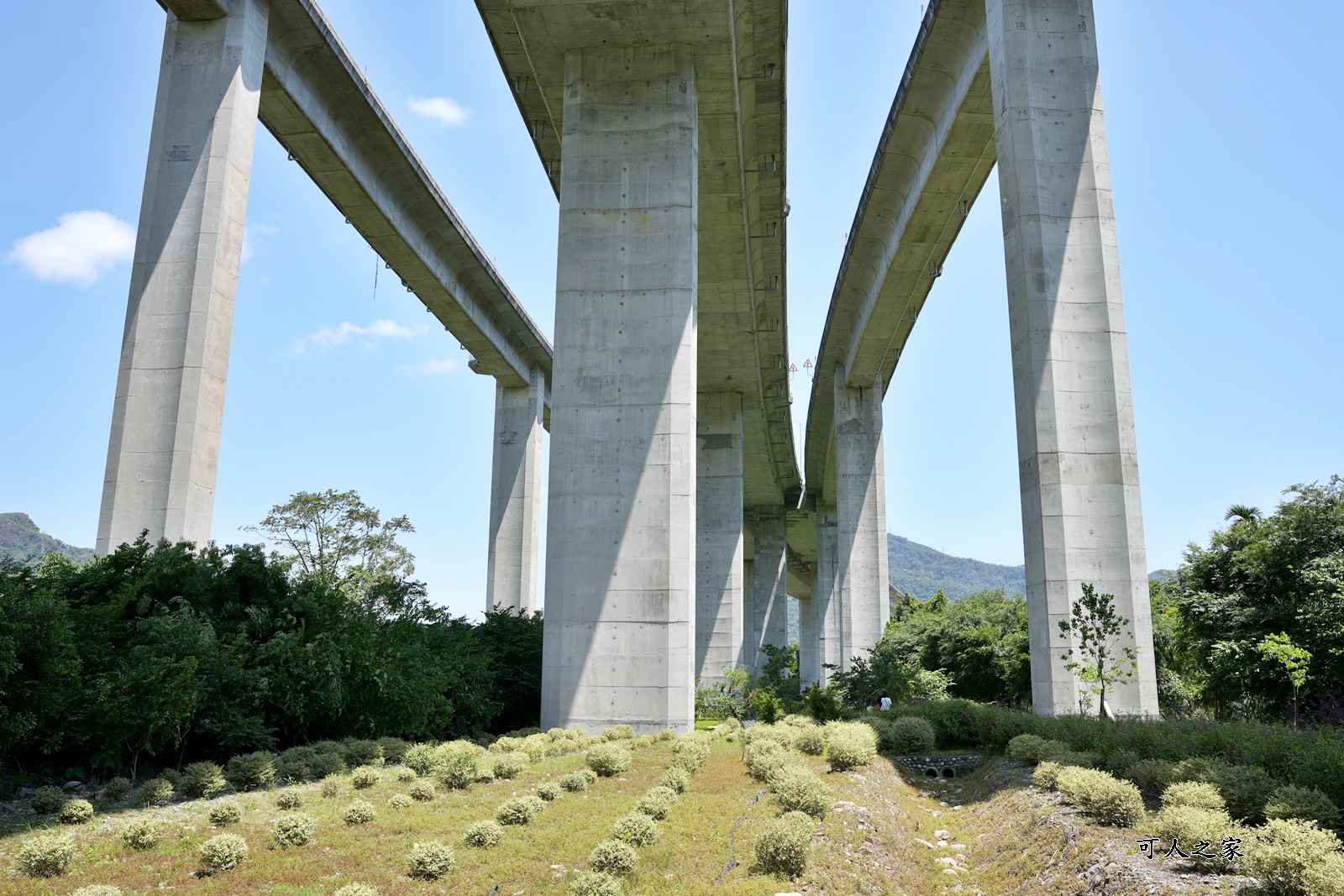 免費,南投新景點,新景點,橋聳雲天綠雕園區,橋聳雲天綠雕園區(國道六號國姓交流道),約會