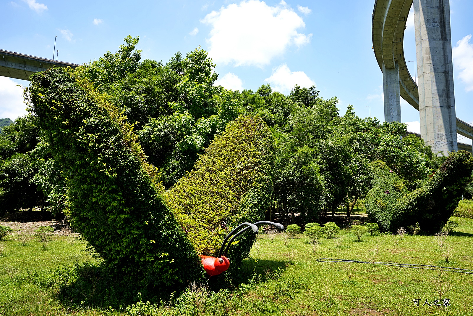 免費,南投新景點,新景點,橋聳雲天綠雕園區,橋聳雲天綠雕園區(國道六號國姓交流道),約會