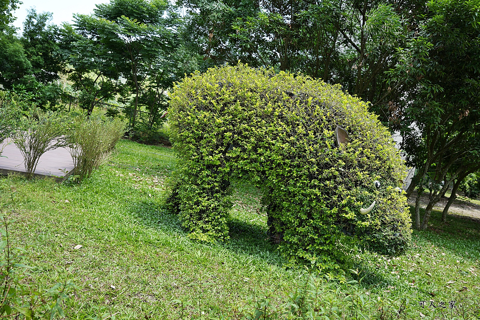 免費,南投新景點,新景點,橋聳雲天綠雕園區,橋聳雲天綠雕園區(國道六號國姓交流道),約會