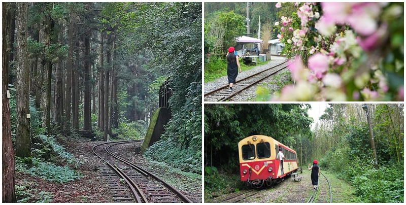 嘉義阿里山景點,多林火車站 @可人之家