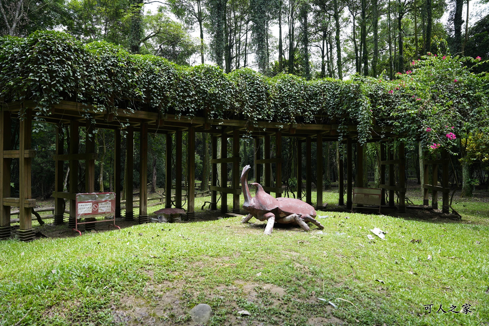 IG肖楠步道,下坪自然教育園區,南投景點,南投竹山景點,台大實驗林,親子景點