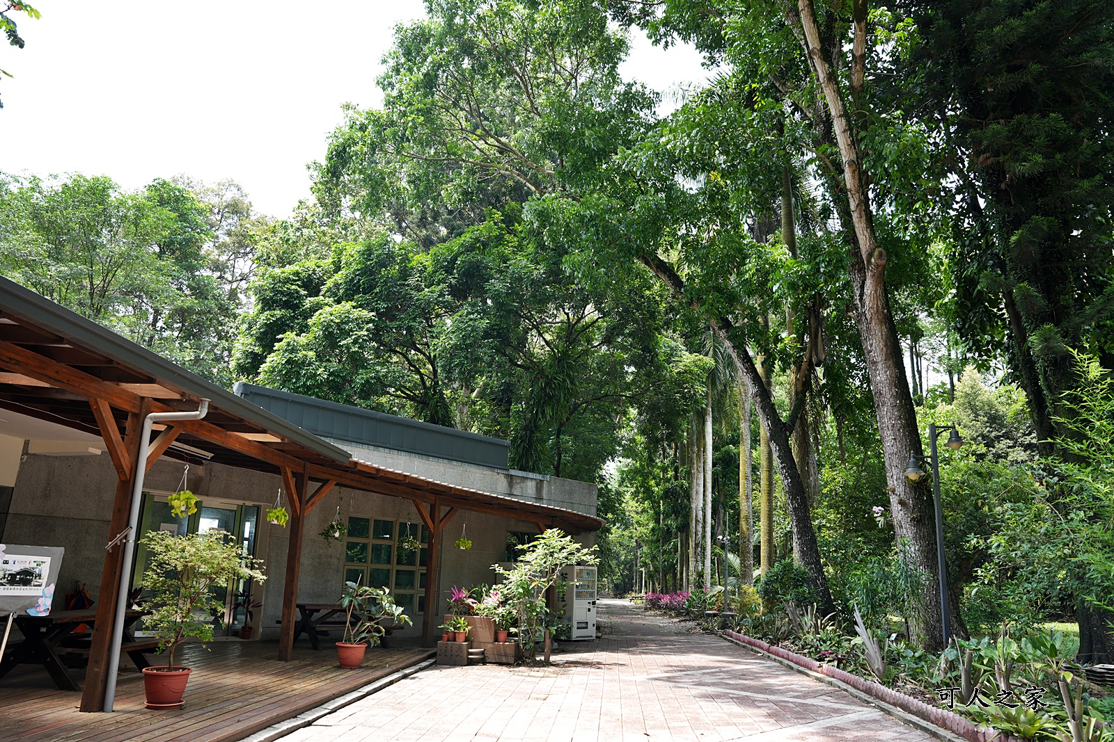 IG肖楠步道,下坪自然教育園區,南投景點,南投竹山景點,台大實驗林,親子景點