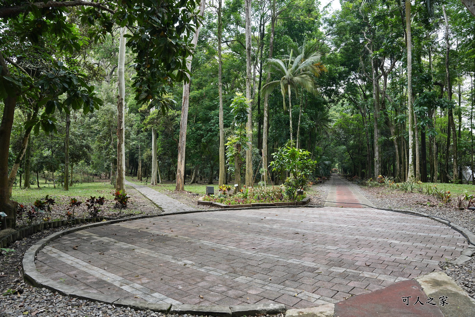 IG肖楠步道,下坪自然教育園區,南投景點,南投竹山景點,台大實驗林,親子景點