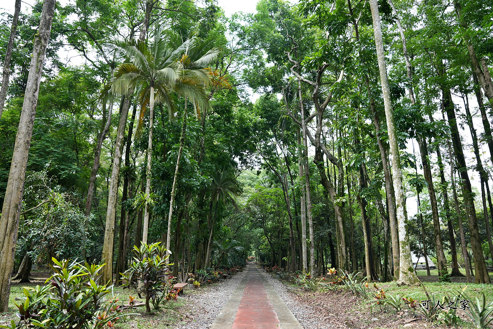 IG肖楠步道,下坪自然教育園區,南投景點,南投竹山景點,台大實驗林,親子景點