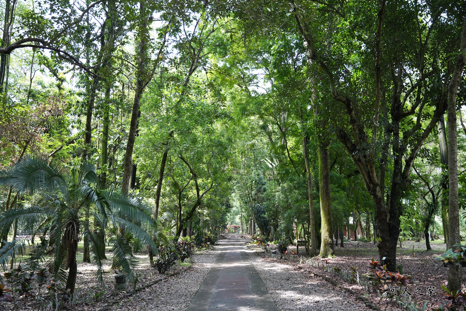 IG肖楠步道,下坪自然教育園區,南投景點,南投竹山景點,台大實驗林,親子景點