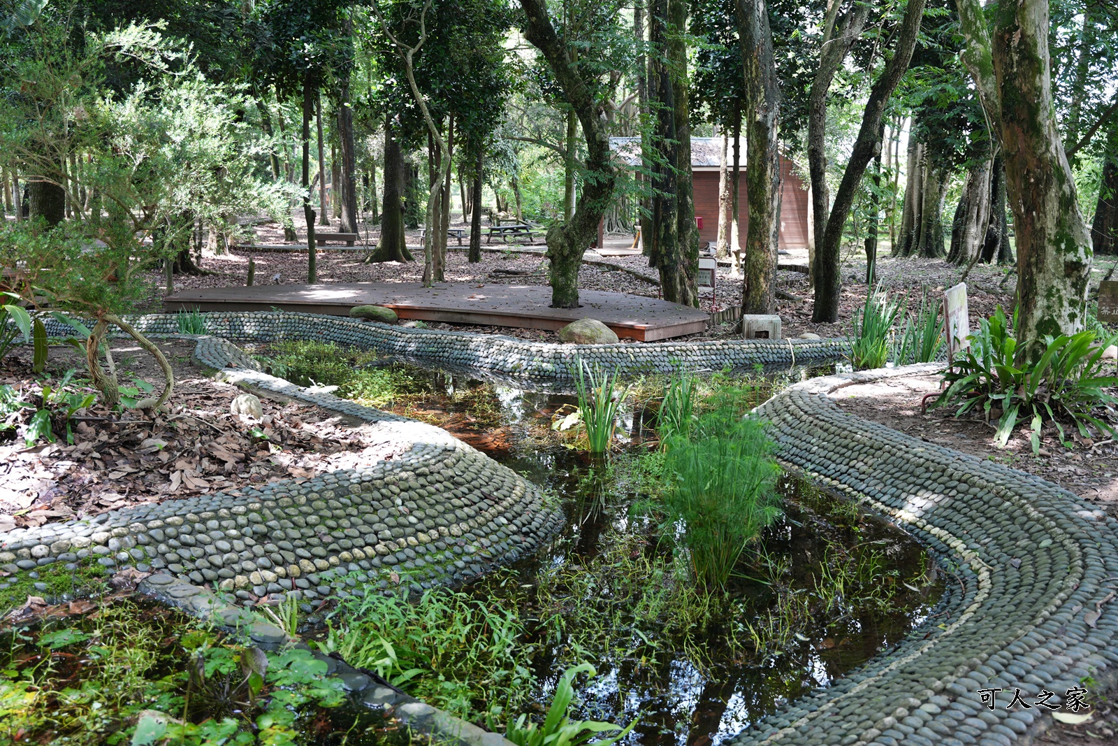 IG肖楠步道,下坪自然教育園區,南投景點,南投竹山景點,台大實驗林,親子景點