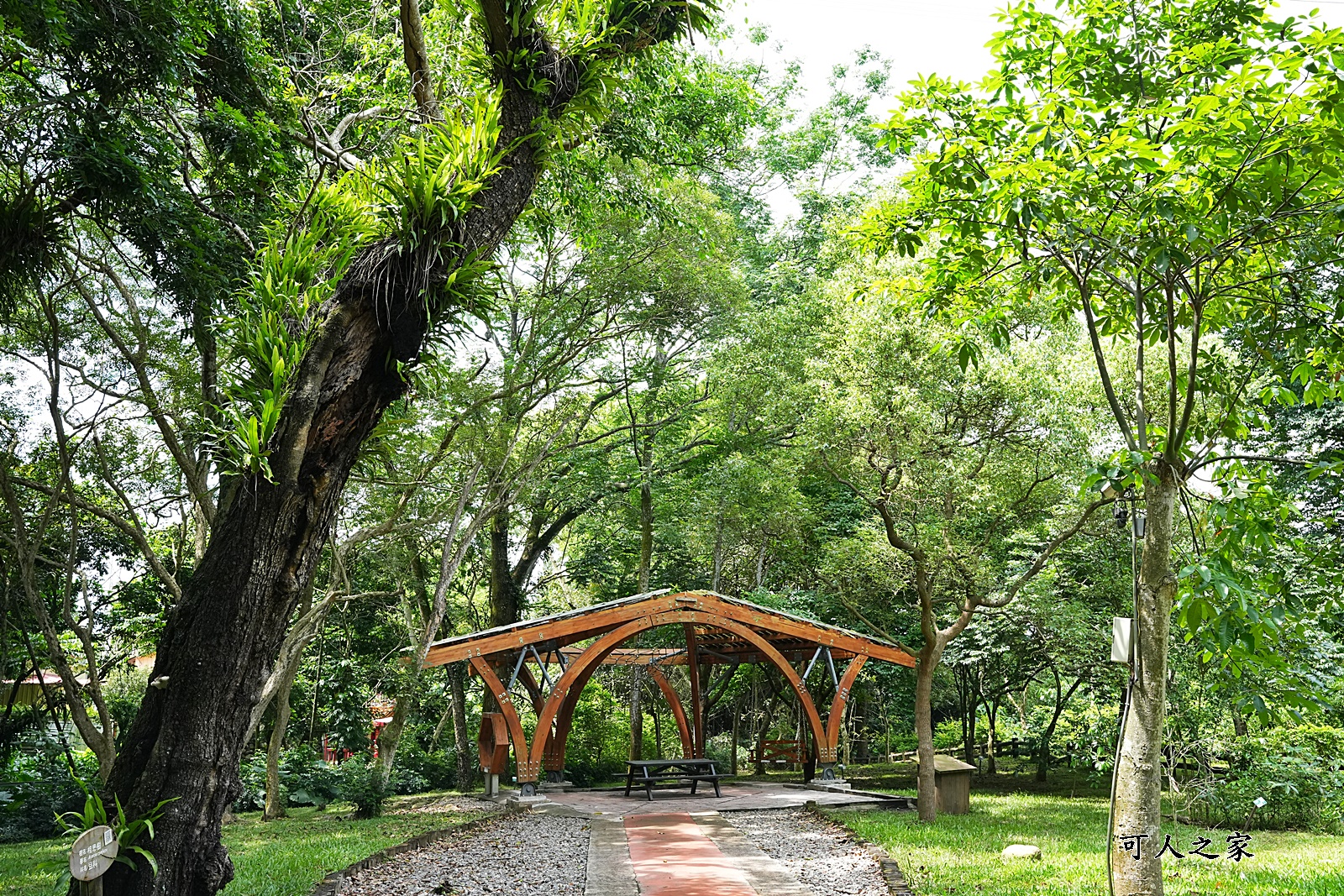 IG肖楠步道,下坪自然教育園區,南投景點,南投竹山景點,台大實驗林,親子景點