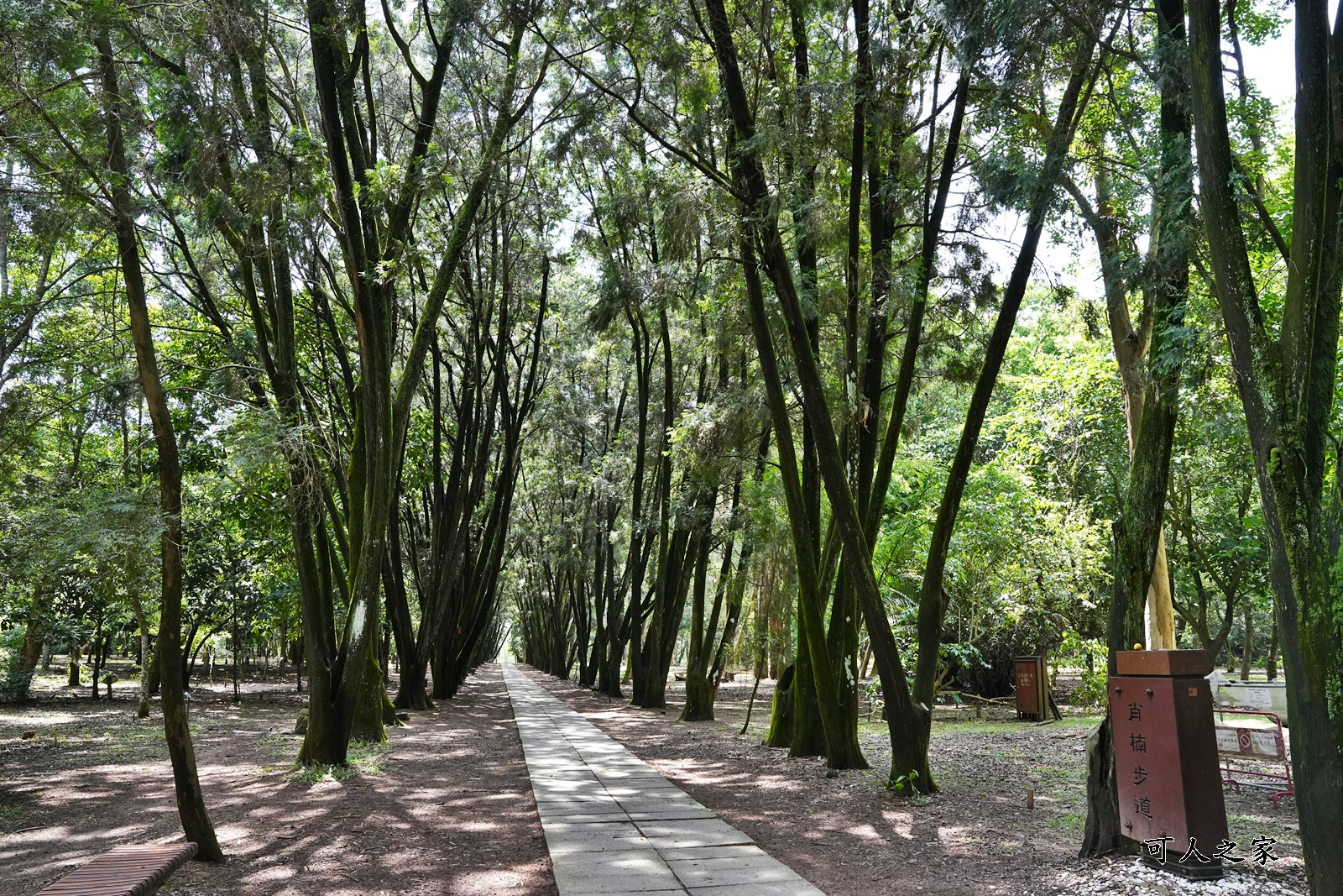 IG肖楠步道,下坪自然教育園區,南投景點,南投竹山景點,台大實驗林,親子景點