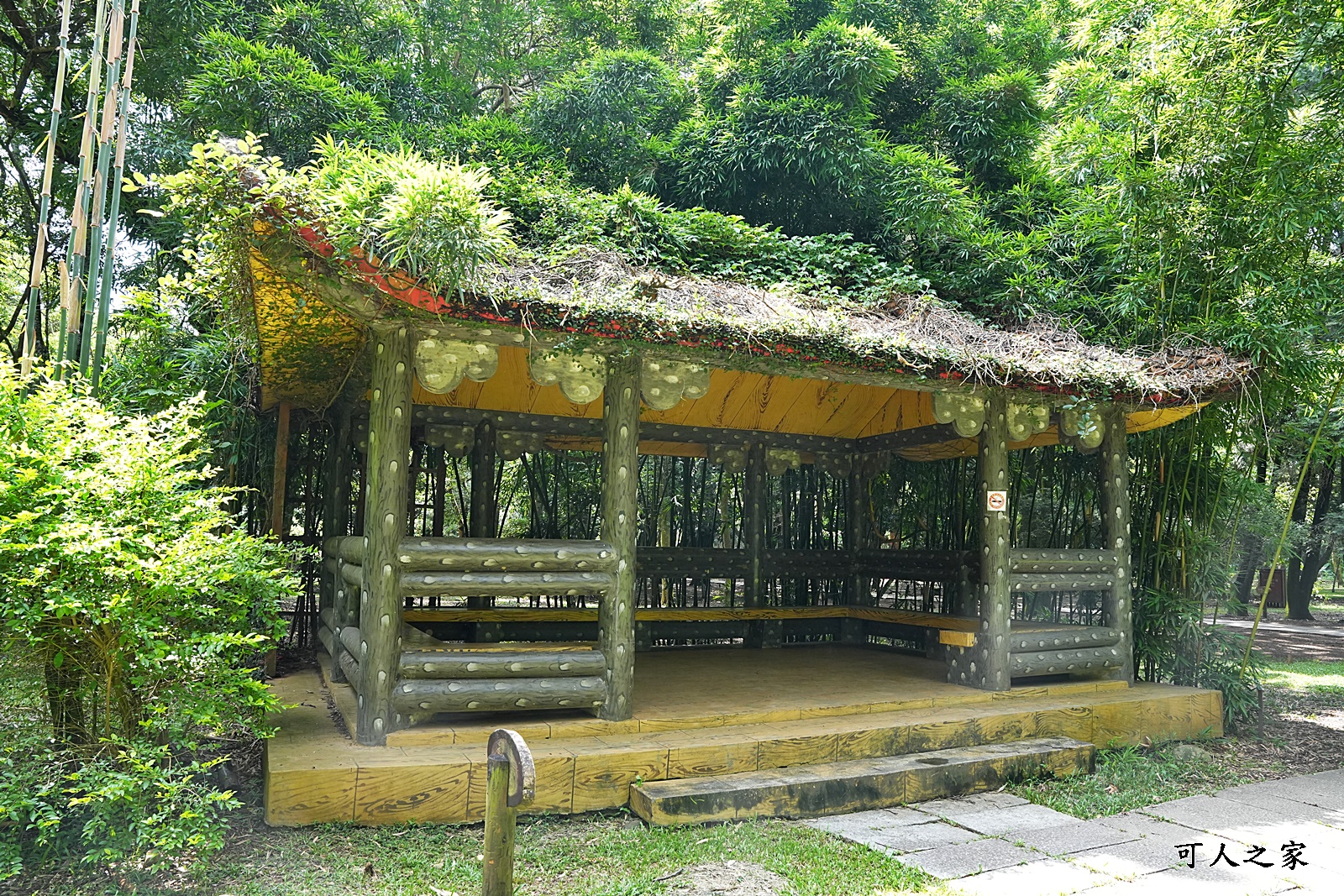 IG肖楠步道,下坪自然教育園區,南投景點,南投竹山景點,台大實驗林,親子景點