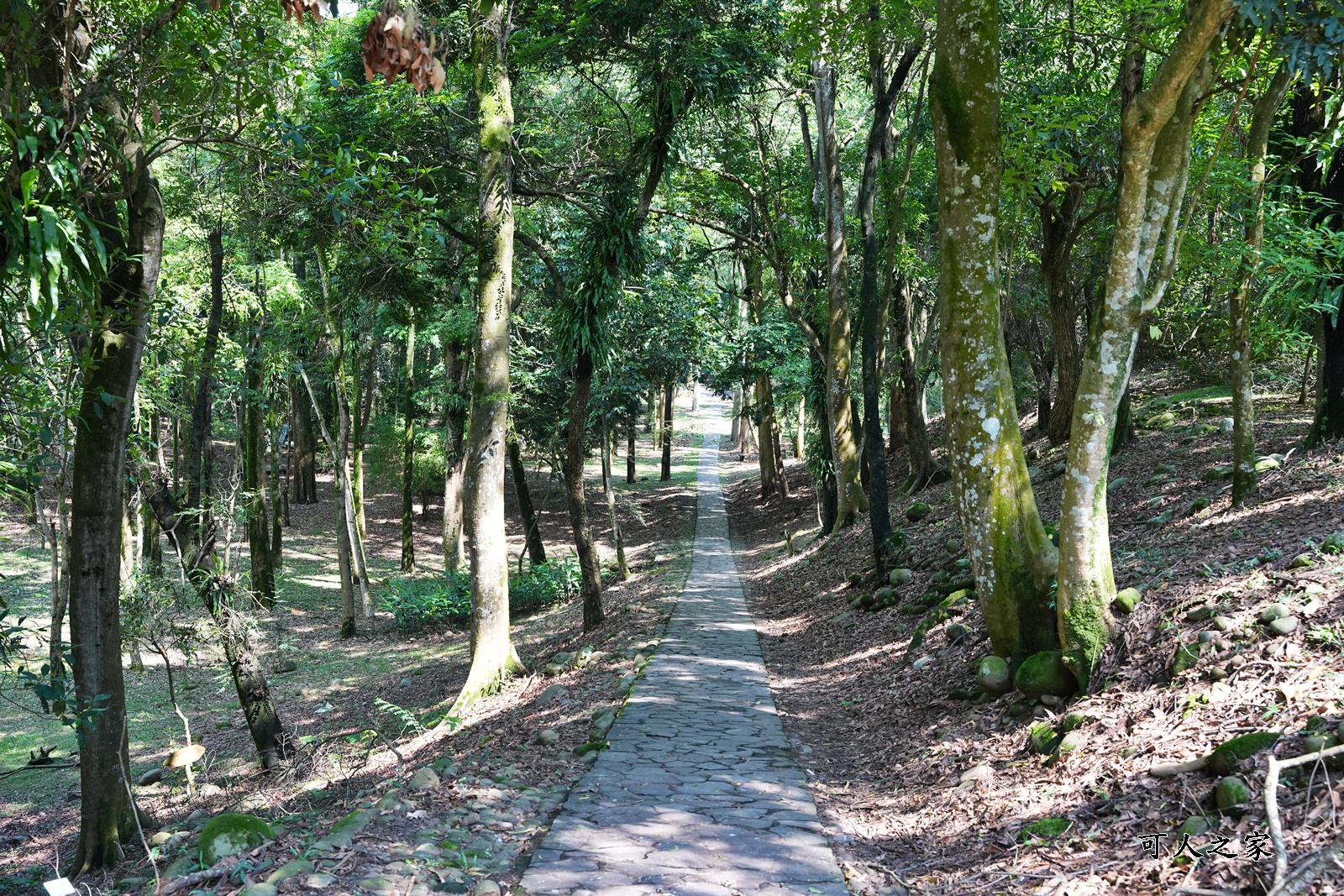 IG肖楠步道,下坪自然教育園區,南投景點,南投竹山景點,台大實驗林,親子景點