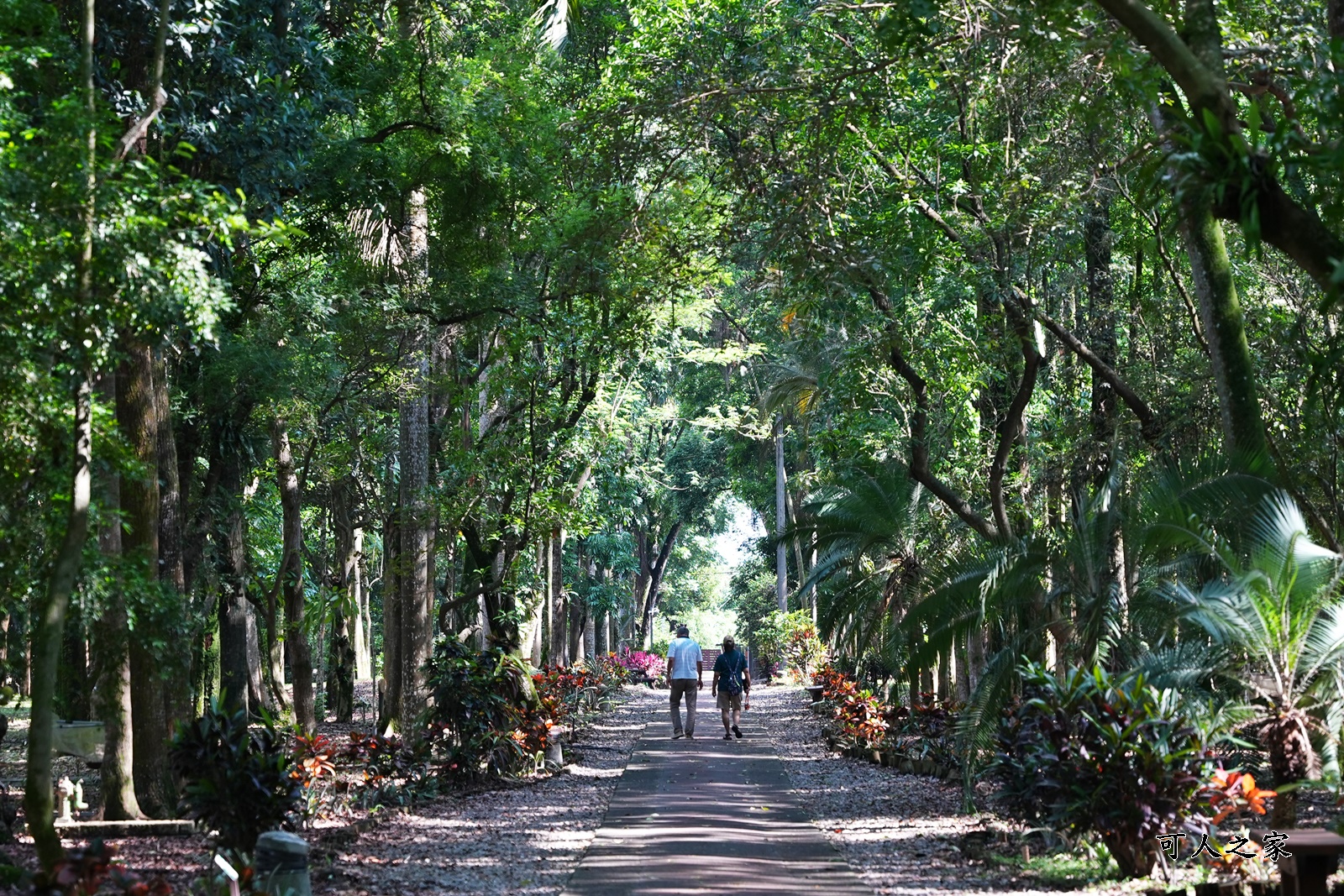 IG肖楠步道,下坪自然教育園區,南投景點,南投竹山景點,台大實驗林,親子景點