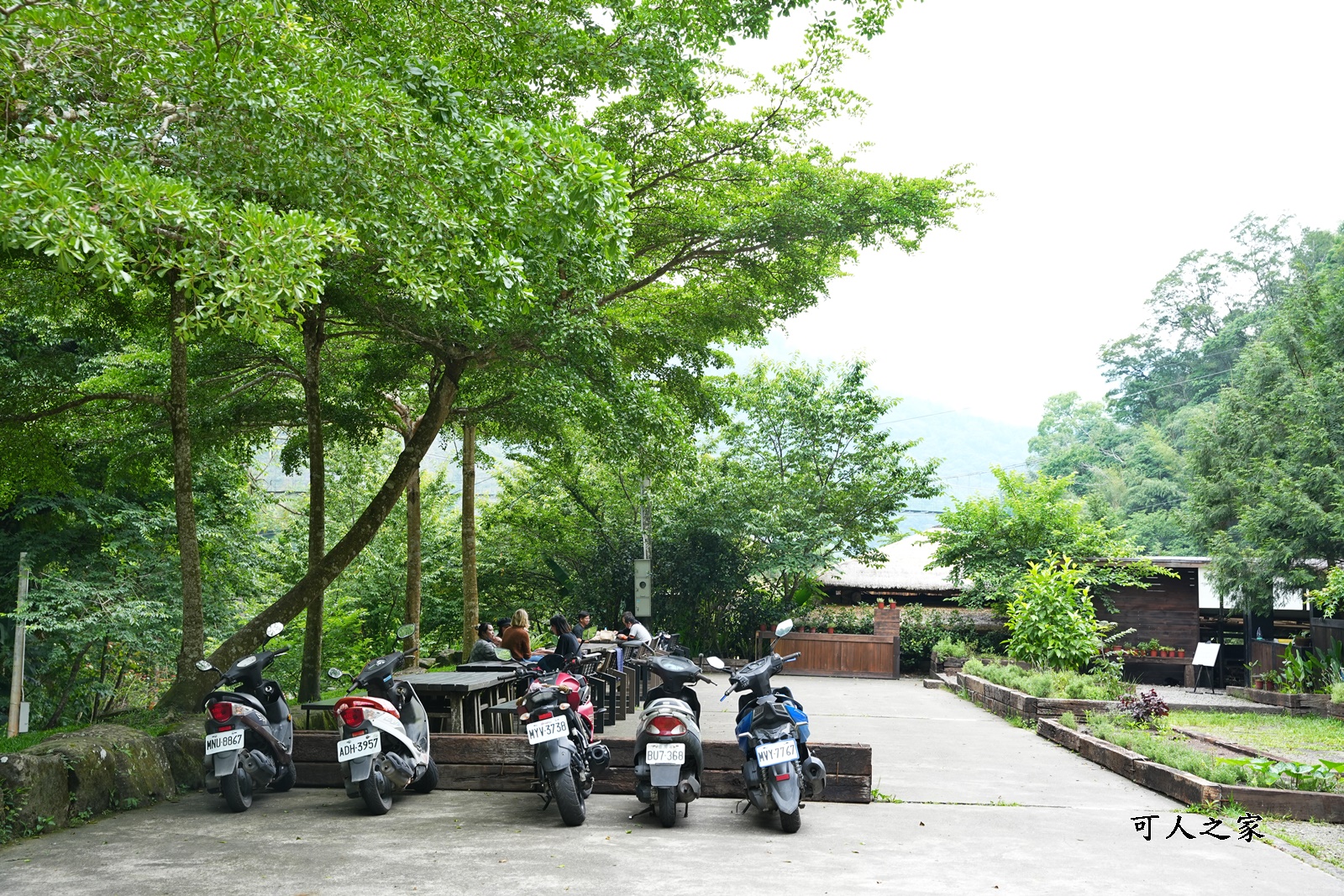 HANA廚房2023菜單,HANA廚房必吃餐點,嘉義美食,嘉義阿里山必吃美食,阿里山餐廳