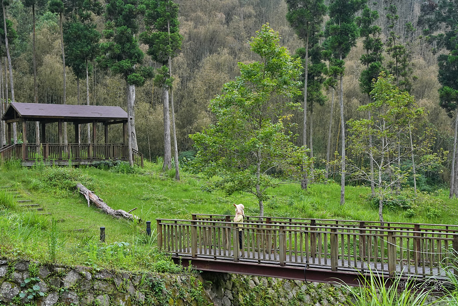 台版合掌村,嘉義免費景點,嘉義景點推薦,得恩亞納,神秘的國度,老麵包,鄒族女人的私房茶