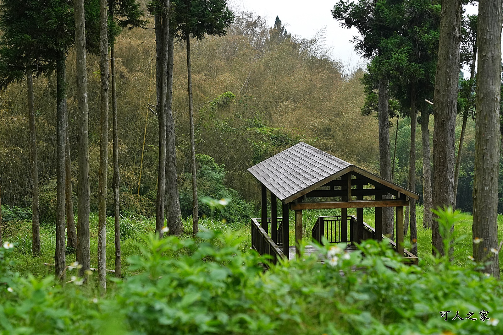 台版合掌村,嘉義免費景點,嘉義景點推薦,得恩亞納,神秘的國度,老麵包,鄒族女人的私房茶