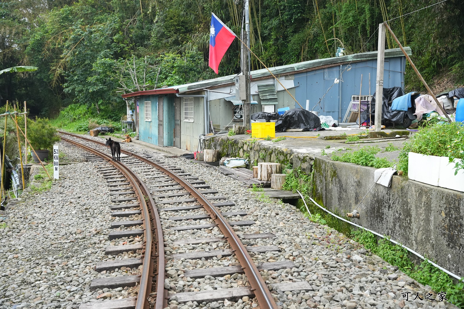 嘉義阿里山景點,多林火車站