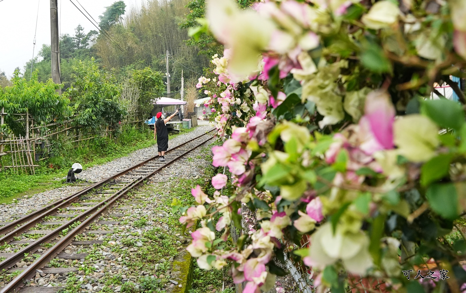 嘉義阿里山景點,多林火車站