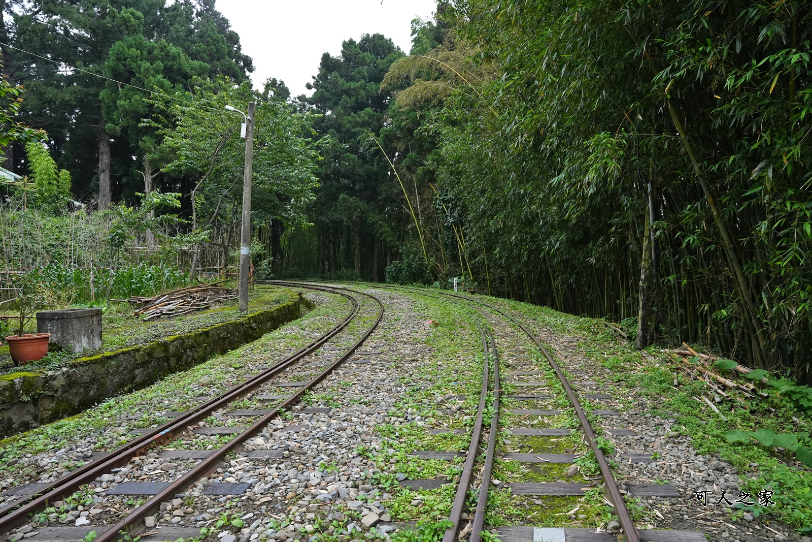 嘉義阿里山景點,多林火車站