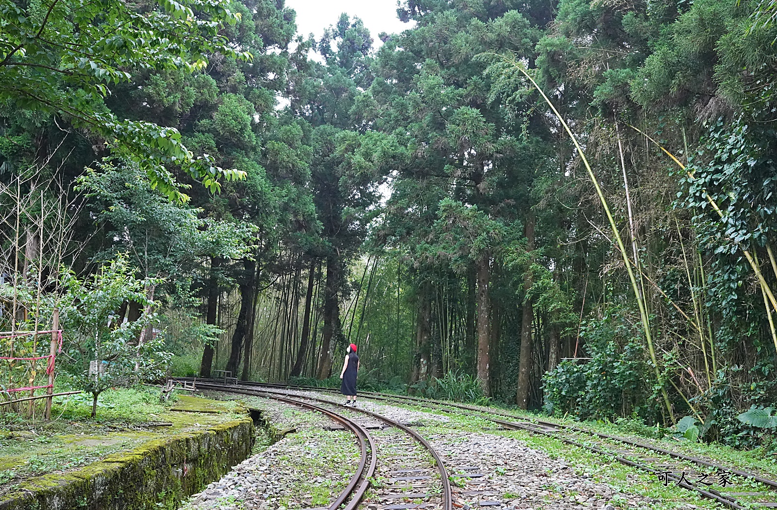 嘉義阿里山景點,多林火車站