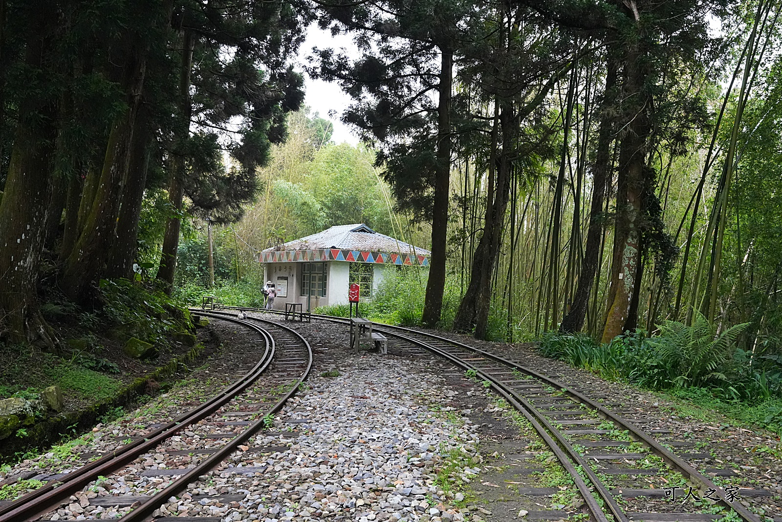 嘉義阿里山景點,多林火車站